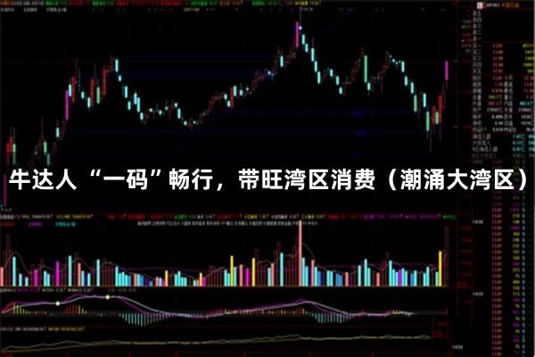 牛达人 “一码”畅行，带旺湾区消费（潮涌大湾区）