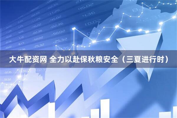 大牛配资网 全力以赴保秋粮安全（三夏进行时）
