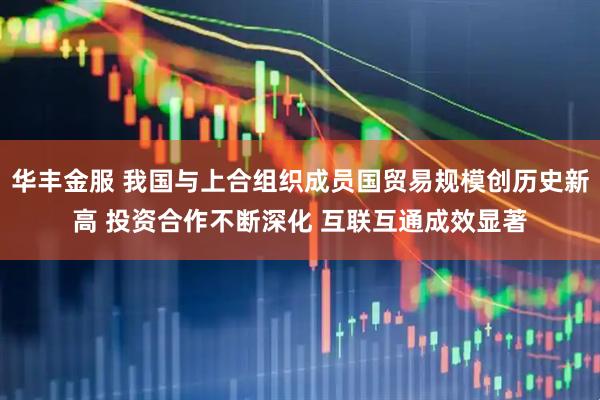 华丰金服 我国与上合组织成员国贸易规模创历史新高 投资合作不断深化 互联互通成效显著