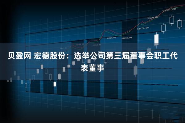 贝盈网 宏德股份：选举公司第三届董事会职工代表董事